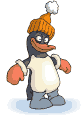 dressed-penguin