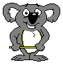 koala dances