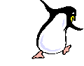 moving-penguin