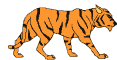 walking-tiger