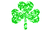 clover-4-leaf